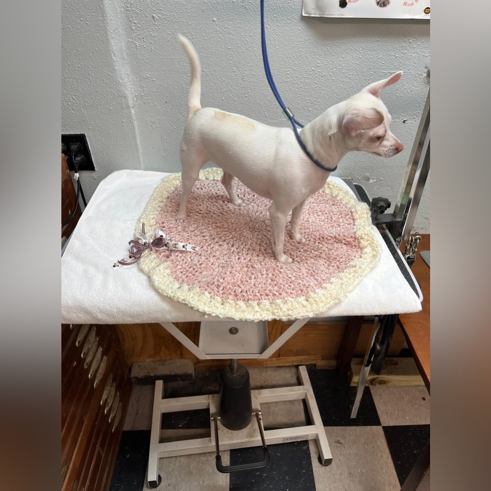 Cozy Pink and Cream Dog Blanket